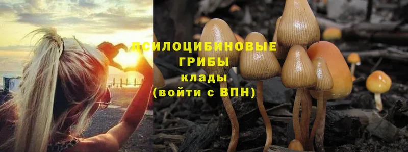 МЕГА как войти  цена наркотик  Белая Калитва  Псилоцибиновые грибы MAGIC MUSHROOMS 